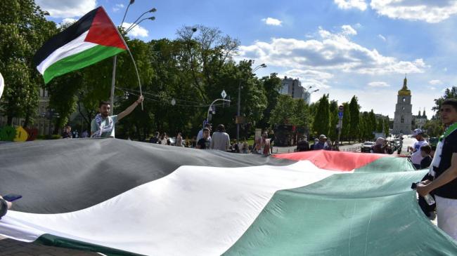 Митинги в поддержку Палестины продолжаются, несмотря на прекращение военных действий 