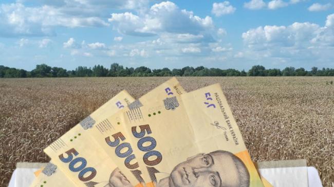 Невеликі сімейні ферми зможуть отримати субсидію в сумі 5 тисяч гривень на гектар