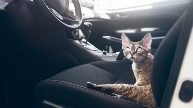 Школяр із Дніпра винайшов пристрій контролю ситуації у салоні автомобіля 