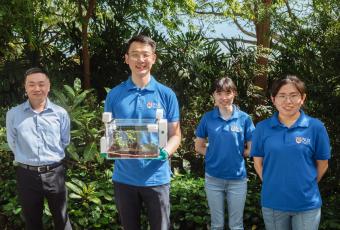 ФОТО ©️National University of Singapore: SmartFarm був розроблений дослідниками з Департаменту матеріалознавства та техніки NUS — (зліва направо) проф. Тан Сві Чінг, пан Цю Хао, пані Ян Цзячен та д-р Чжан Сюпінг.