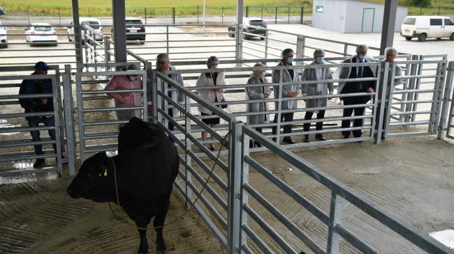 Завдяки турецьким інвестиціям на Рівненщині відкрили халяльний м’ясопереробний комплекс