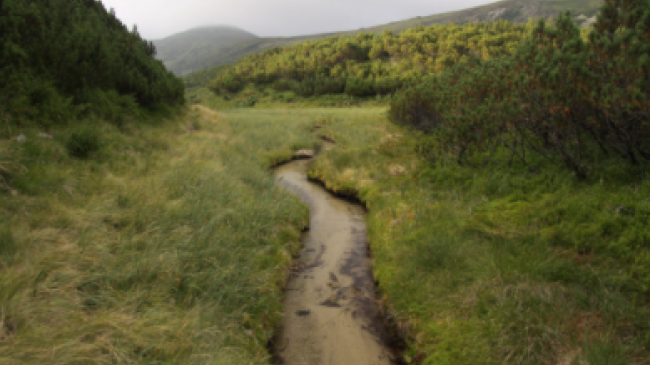 кадастр заповідників
