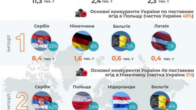 Інфографіка ©UCAB:  Можливості для України на світовому ринку ягід