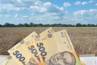 Невеликі сімейні ферми зможуть отримати субсидію в сумі 5 тисяч гривень на гектар
