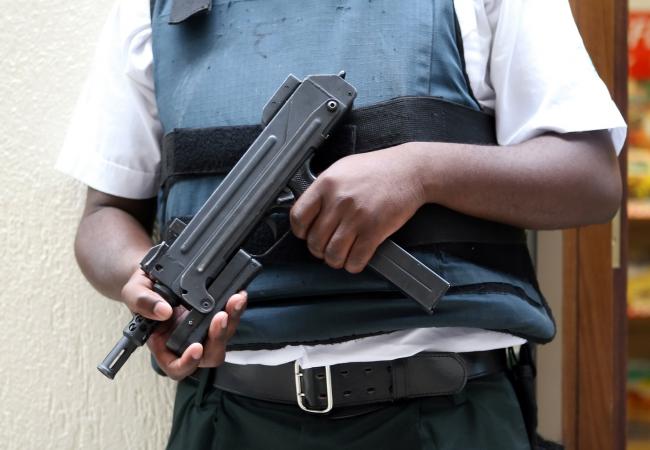 Шри-Ланка, тамилы и терроризм